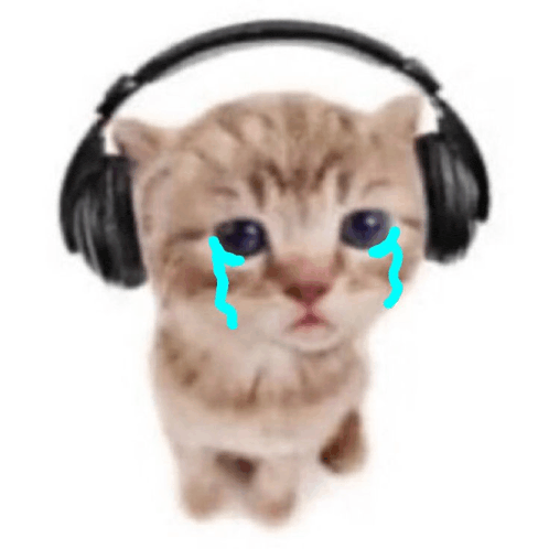 a kitten wearing headphones is crying with tears coming out of its eyes