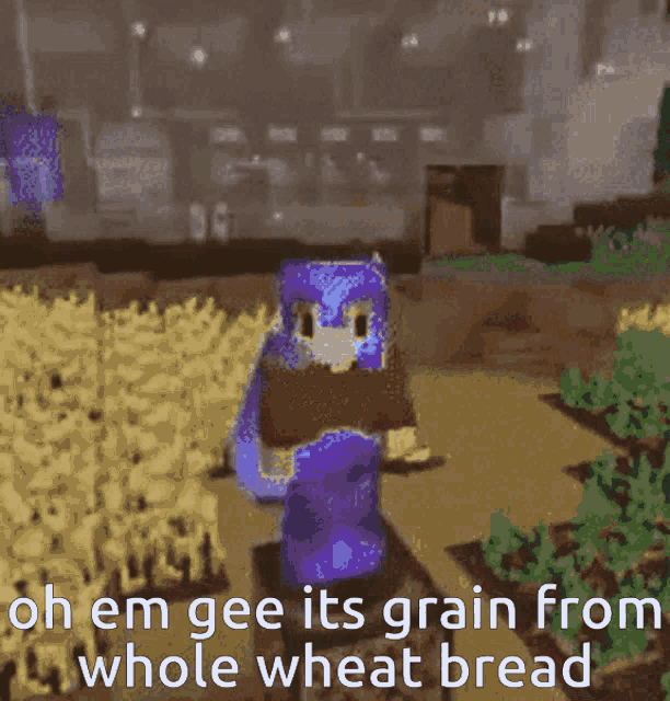 a cartoon character is standing in a field with the words " oh em gee its grain from whole wheat bread " at the bottom