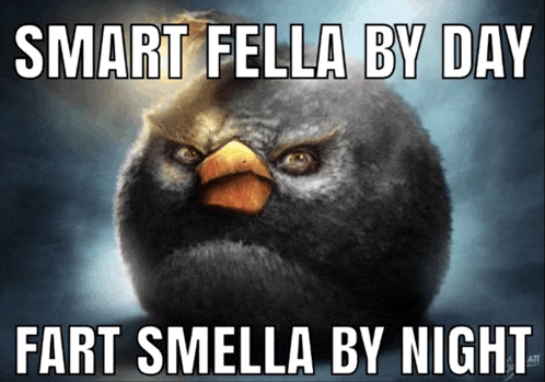 a picture of an angry bird with the words smart fella by day fart smella by night