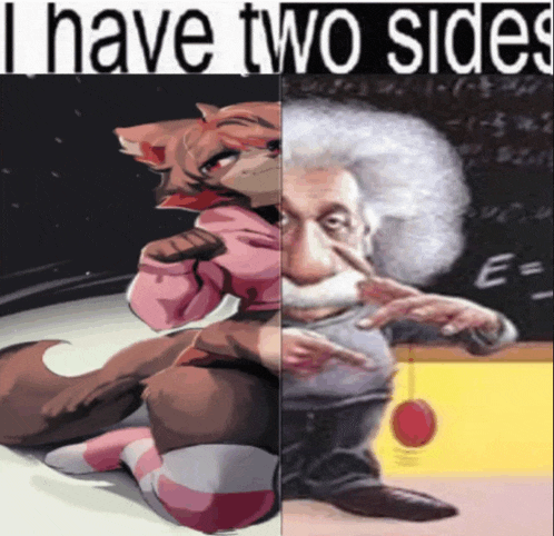 a cartoon of einstein and a cartoon of a girl with the words " i have two sides " on the bottom