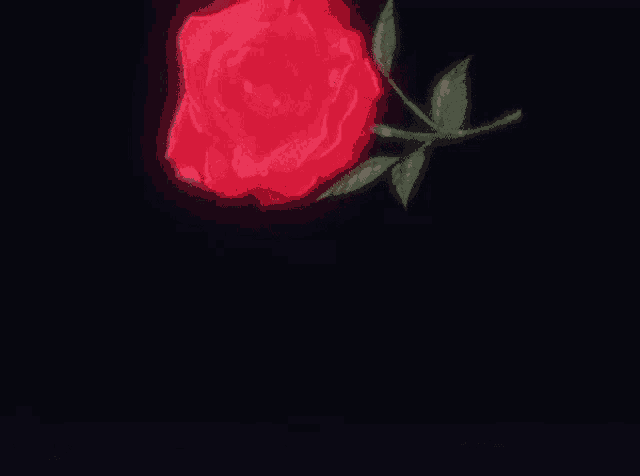 a red rose with green leaves is glowing in the dark against a black background .