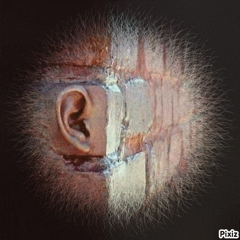 a close up of a person 's ear and mouth with pixiz written below it