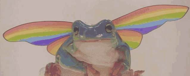 a frog with rainbow wings is sitting on top of a rock .