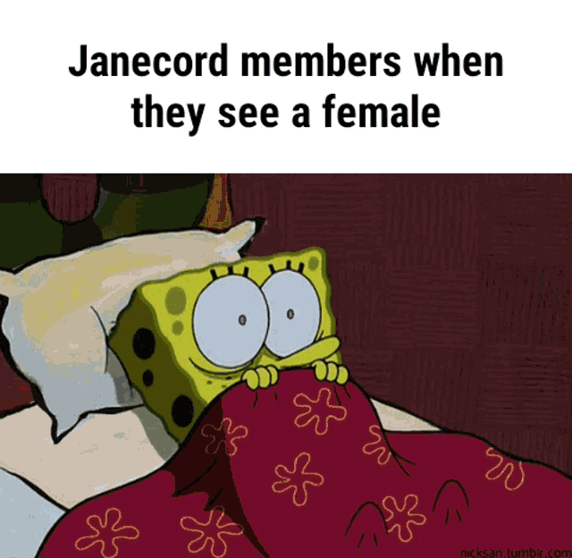 a cartoon of spongebob laying under a blanket with the words janecord members when they see a female