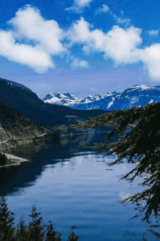 a picture of a lake with mountains in the background and a tree in the foreground that says ' larry '