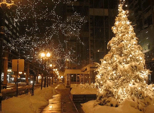 a snowy christmas tree is lit up in front of a building