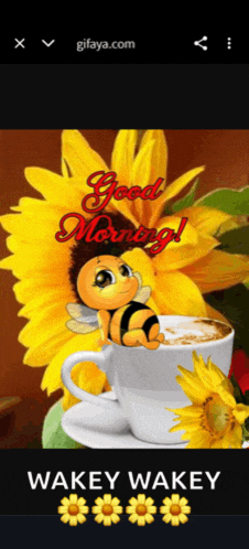 a picture of a bee sitting on a cup of coffee that says good morning