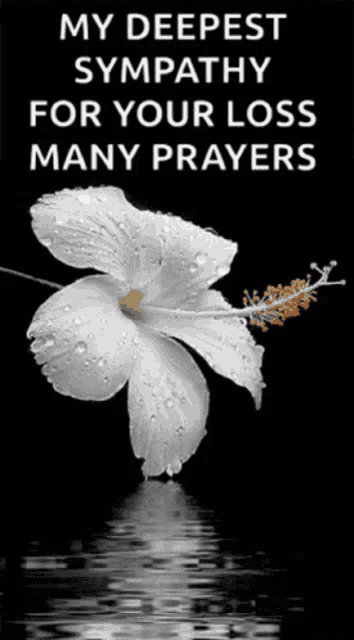 a white flower with water drops on it is on a black background with the words my deepest sympathy for your loss many prayers