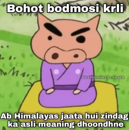 a cartoon pig is sitting on a blanket with a caption that says bohot bodmosi krli .