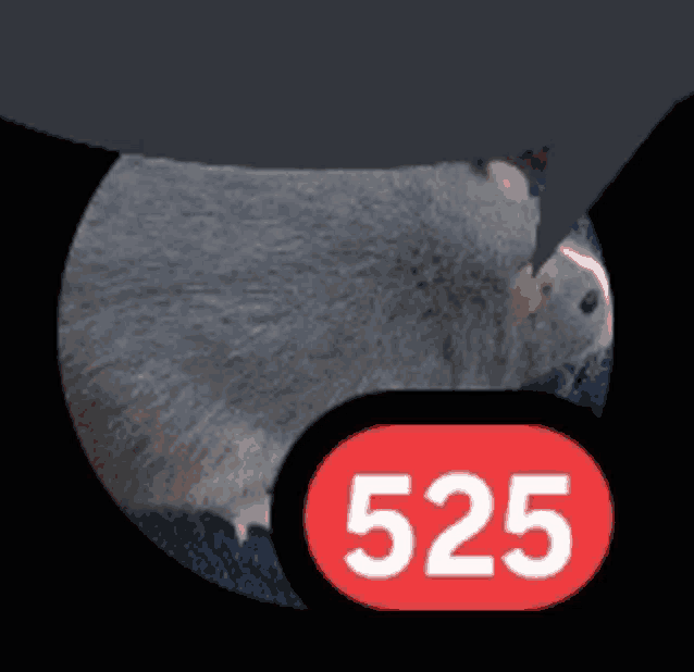 a close up of a rat with a red circle with the number 525 on it