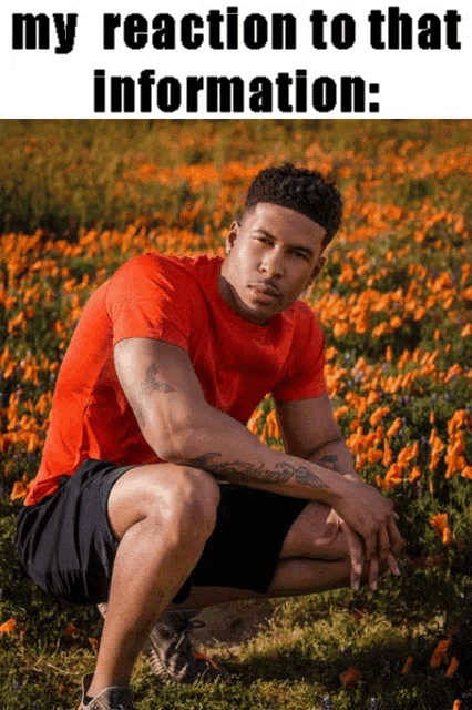 a man in a red shirt is squatting down in front of a field of orange flowers