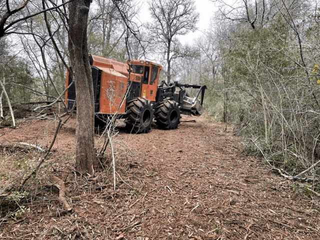 a large orange tractor is parked in the middle of a lush green forest