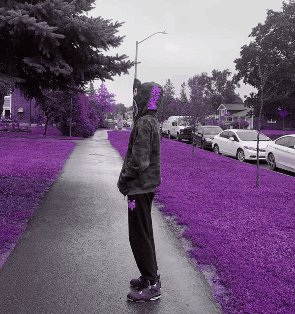 a person wearing a purple hoodie is standing on a purple path