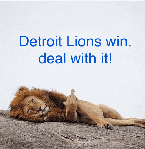 a lion is laying on a rock with the words detroit lions win deal with it