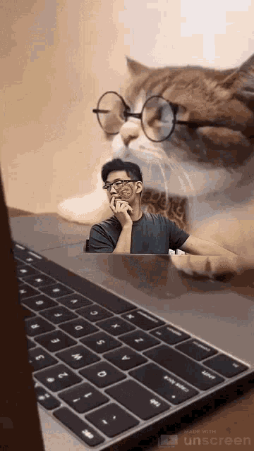 a cat wearing glasses is looking at a man on a laptop screen