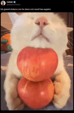 a cat is holding two apples in its paws