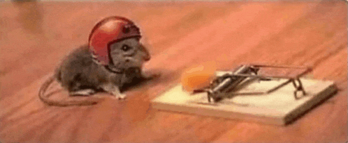 a mouse wearing a red helmet is sitting next to a mousetrap .