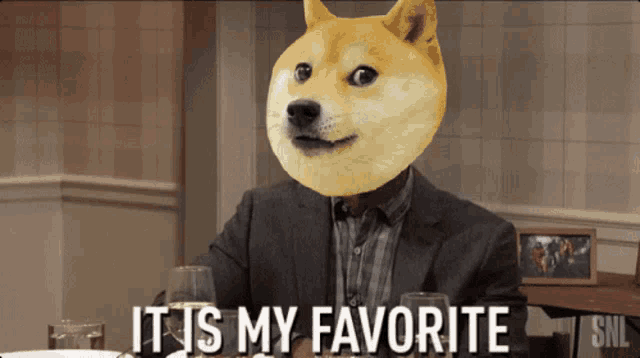 a picture of a man with a doge on his head that says " it is my favorite "