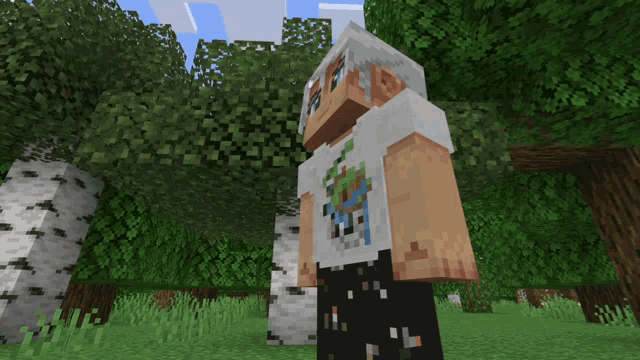a minecraft character with a t-shirt that says earth