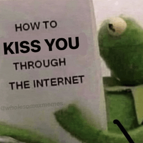 kermit the frog is holding up a sign that says how to kiss you through the internet