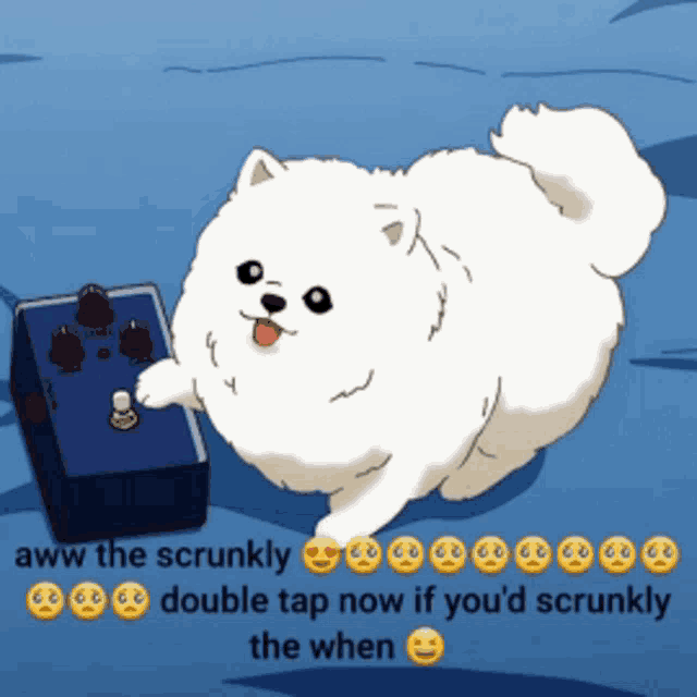 a cartoon of a white dog holding a blue box that says double tap now if you 'd scrunkly