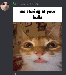 a picture of a cat with the caption " me staring at your balls " on it