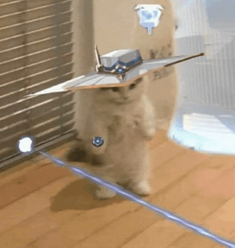 a cat wearing a hat and holding a sword is standing on its hind legs on a wooden floor .