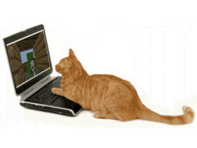 a cat laying on top of a laptop with a minecraft game on the screen