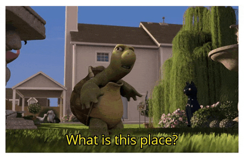 a turtle with a cane standing in front of a house with the words what is this place below it