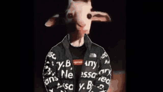 a goat wearing a supreme jacket and a black shirt