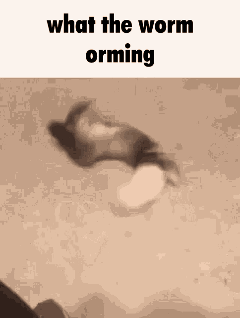 a worm is flying through the air with the words what the worm orming