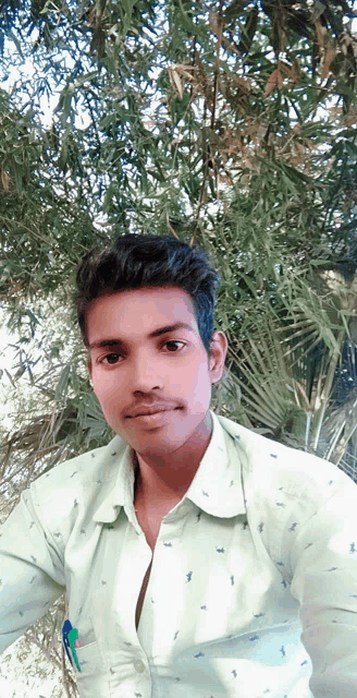 a young man in a white shirt poses for a picture in front of a tree