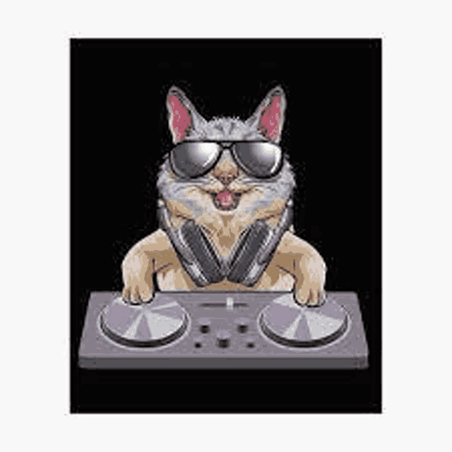 a cat wearing sunglasses and headphones is playing a dj set .