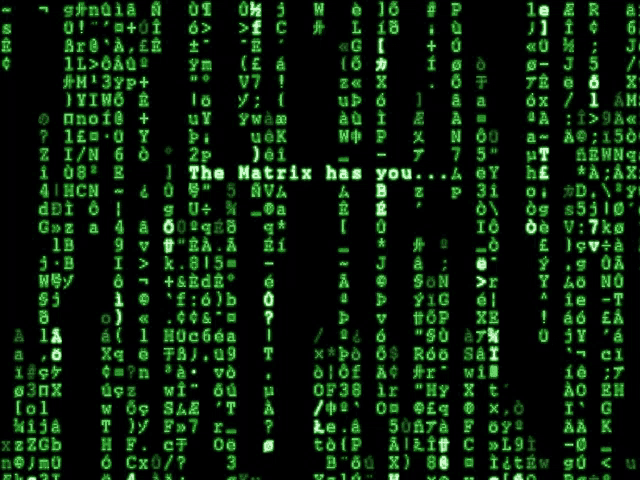 a computer screen displays the matrix has you message