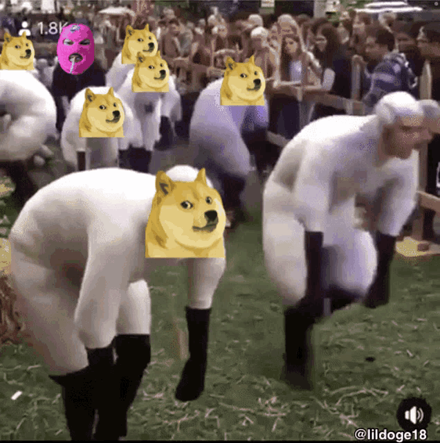 a group of people dressed as sheep with doge faces on their heads