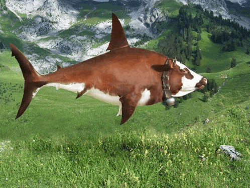 a shark that looks like a cow with a bell around its neck is swimming in a field