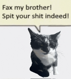 a black and white cat sits in front of a speech bubble that says fax my brother spit your shit indeed