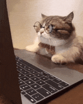 a cat wearing glasses and a bow tie is sitting on a laptop