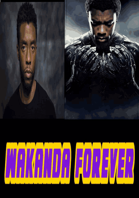 a picture of a man next to a picture of a black panther with the words " wakanda forever "