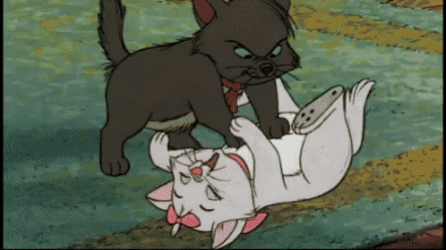 a black cat laying on top of a white cat with a pink bow