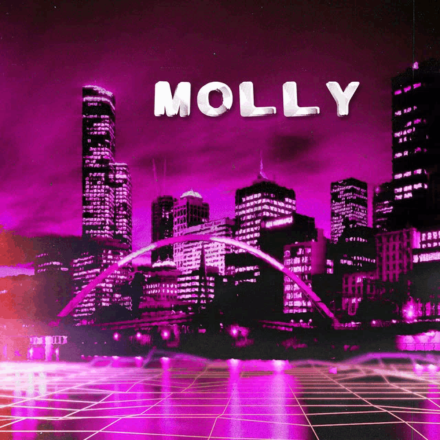 a picture of a city at night with molly written on the bottom