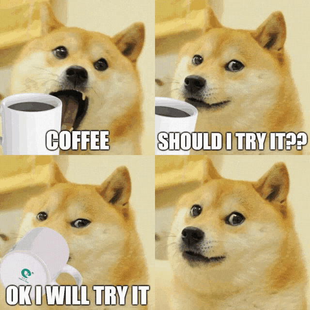 a dog is holding a cup of coffee and asking if he should try it