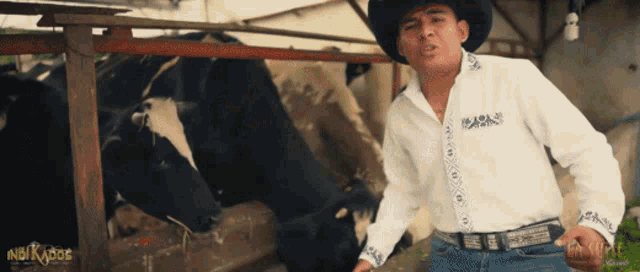 a man in a cowboy hat stands in front of a herd of cows with a sign that says nibikoos