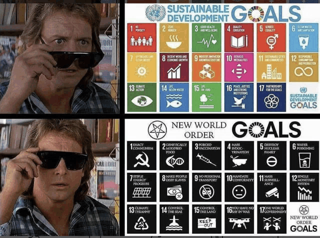 a poster of sustainable development goals with a man wearing sunglasses