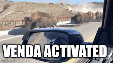 a rear view mirror shows a herd of bison crossing the road