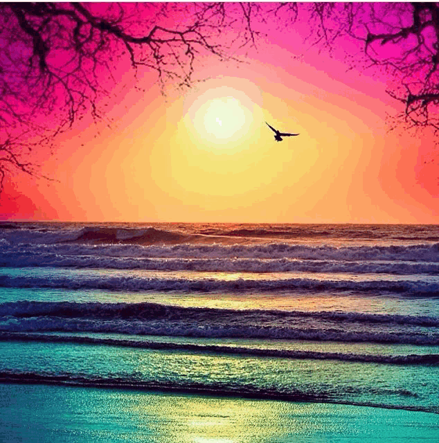 a colorful sunset over the ocean with a bird flying in the sky