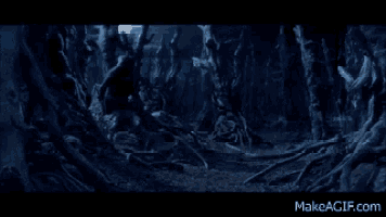 a dark forest with lots of trees and roots