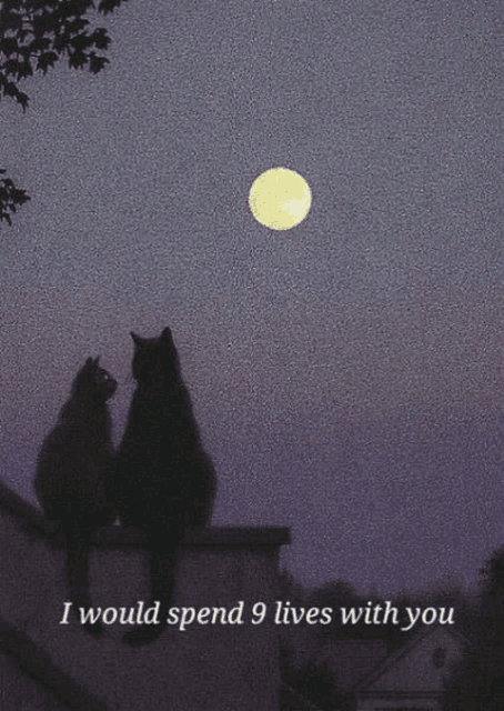 two cats sitting on a ledge looking at the full moon