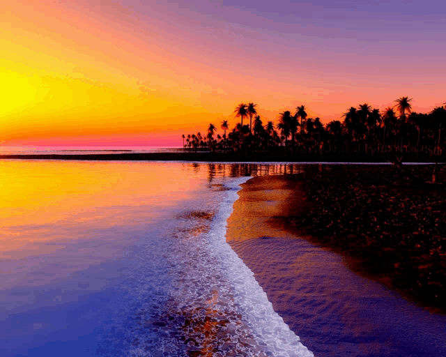 a sunset over a beach with palm trees in the distance