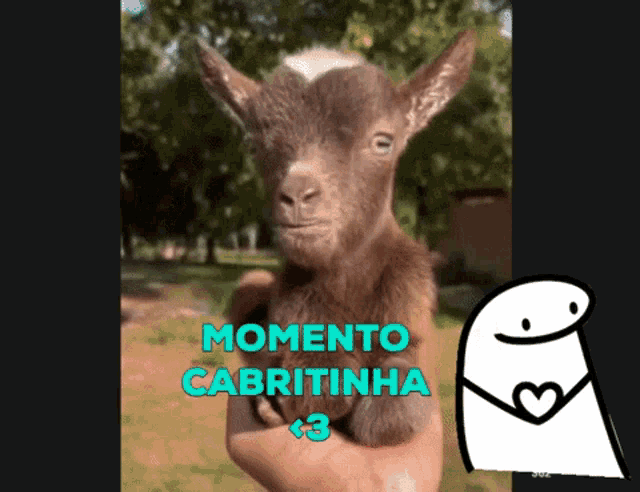 a person holding a baby goat with the words momento cabritinha written above it